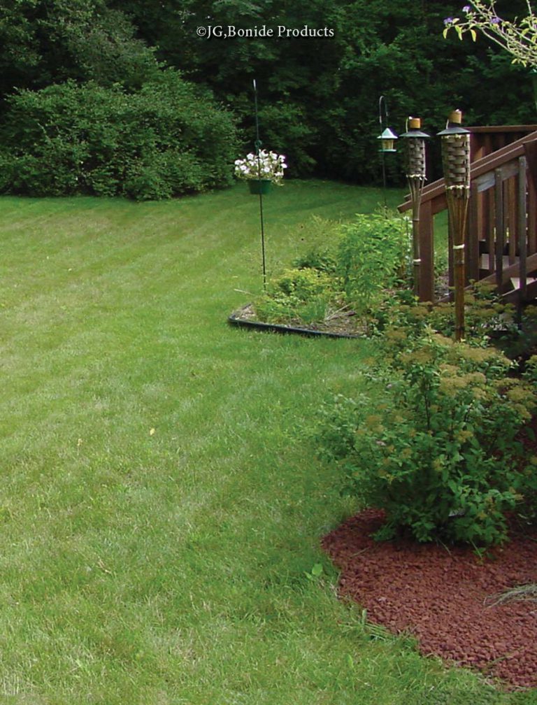 Lawn Renovation