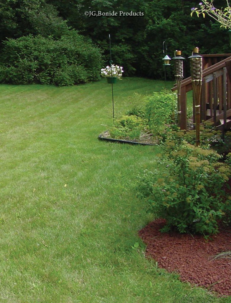 Lawn Renovation