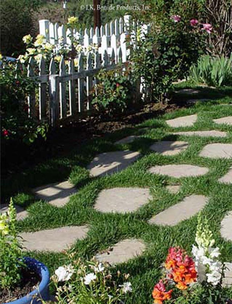 Patios and Fences