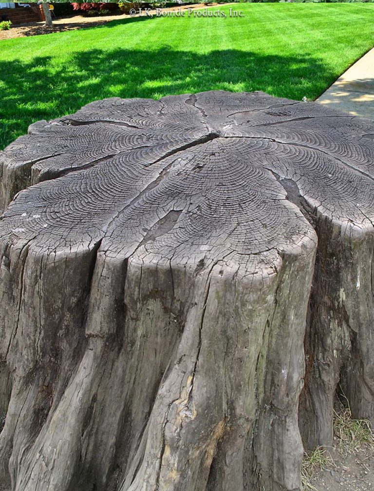 Stumps