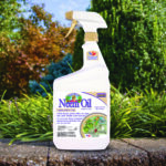 Captain Jacks Neem Oil Ready-to-Use