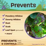 Captain Jack's Neem Oil Concentrate product infographic