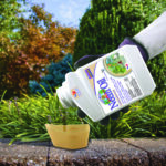 Captain Jack’s Neem Oil Concentrate