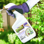 Bon-Neem® II Ready-to-Use