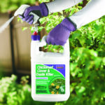 Chickweed, Clover & Oxalis Killer Ready-to-Use