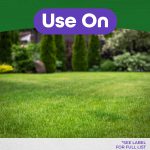 Weed Beater Plus Crabgrass & Broadleaf Weed Killer Ready-to-Use product infographic