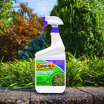 Weed Beater Plus Crabgrass & Broadleaf Weed Killer Ready-to-Use