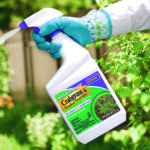Weed Beater Plus Crabgrass & Broadleaf Weed Killer Ready-to-Use