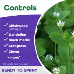 Weed Beater Plus Crabgrass & Broadleaf Weed Killer Ready-to-Spray product infographic