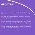 Weed Beater Plus Crabgrass & Broadleaf Weed Killer Ready-to-Spray product infographic