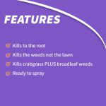 Weed Beater Plus Crabgrass & Broadleaf Weed Killer Ready-to-Spray product infographic