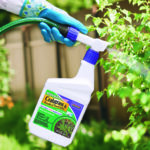 Weed Beater Plus Crabgrass & Broadleaf Weed Killer Ready-to-Spray