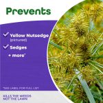 Sedge Ender Concentrate product infographic