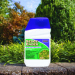 Sedge Ender Concentrate
