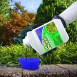 Sedge Ender Concentrate