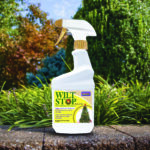 Wilt Stop Xmas Tree & Wreath Ready-to-Use