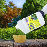 Wilt Stop Concentrate