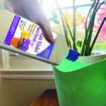 African Violet Food 7-10-7 Conc