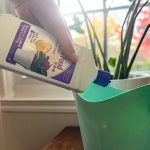 Houseplant Liquid Food 10-10-10 Concentrate in use
