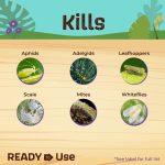 Insecticidal Soap Houseplant Spray Ready-to-Use product infographic