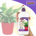 Mite-X Houseplant Spray Ready-to-Use in use