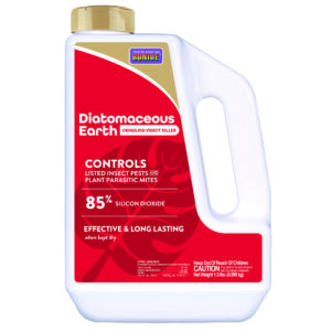 Diatomaceous Earth