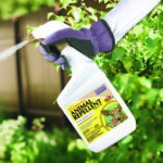Hot Pepper Wax Animal Repellent Ready-to-Use