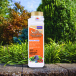 Sulfur Plant Fungicide Dust