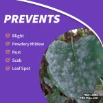 Infuse Systemic Disease Control Concentrate