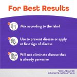 Infuse Systemic Disease Control Concentrate product infographic