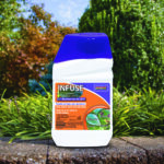 Infuse Systemic Disease Control Concentrate