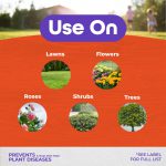 Infuse Systemic Disease Control Lawn & Landscape Ready-to-Spray product infographic