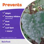 Infuse Systemic Disease Control Lawn & Landscape Ready-to-Spray product infographic