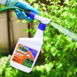 Infuse Systemic Disease Control Lawn & Landscape Ready-to-Spray