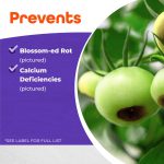 Rot-Stop Tomato Blossom End Rot Concentrate product infographic