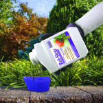 Rot-Stop Tomato Blossom End Rot Concentrate