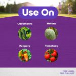 Rot-Stop Tomato Blossom End Rot Spray RTU product infographic