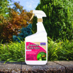 Japanese Beetle Killer Ready-to-Use