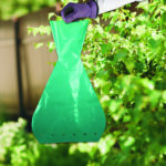Japanese Beetle Bagger Bags