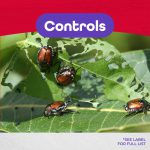 Japanese Beetle Bagger Trap Kit product infographic