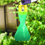 Japanese Beetle Bagger Trap Kit