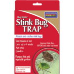 Stink Bug Traps