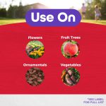 Stink Bug Traps product infographic