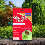 Stink Bug Traps