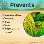 Captain Jack's Fruit Tree Spray Concentrate product infographic