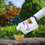 Captain Jack's Fruit Tree Spray Concentrate in use
