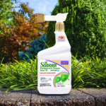 All Seasons Horticultural Oil Ready-to-Spray