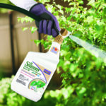 All Seasons Horticultural Oil Ready-to-Spray