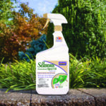 All Seasons Horticultural Oil Ready-to-Use
