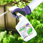 All Seasons Horticultural Oil Ready-to-Use